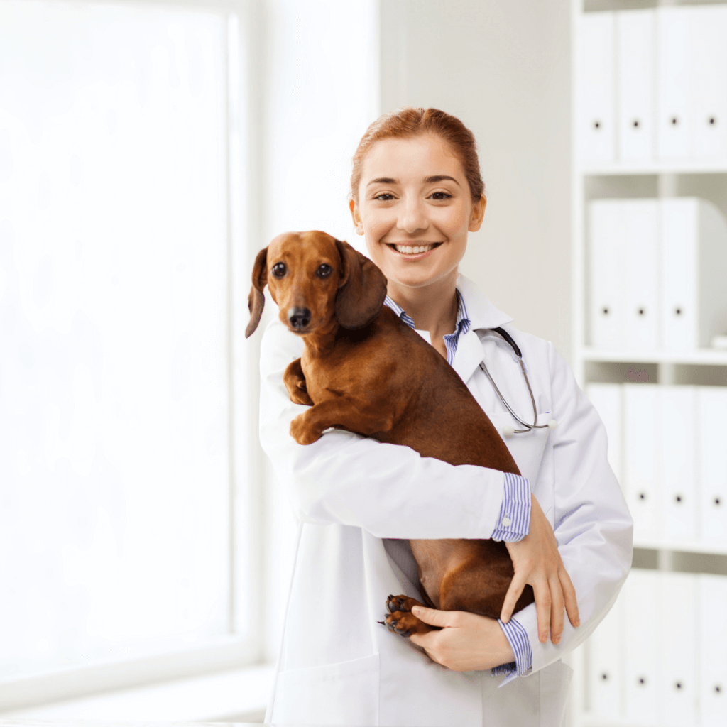 a picture of a vet holding a dog
