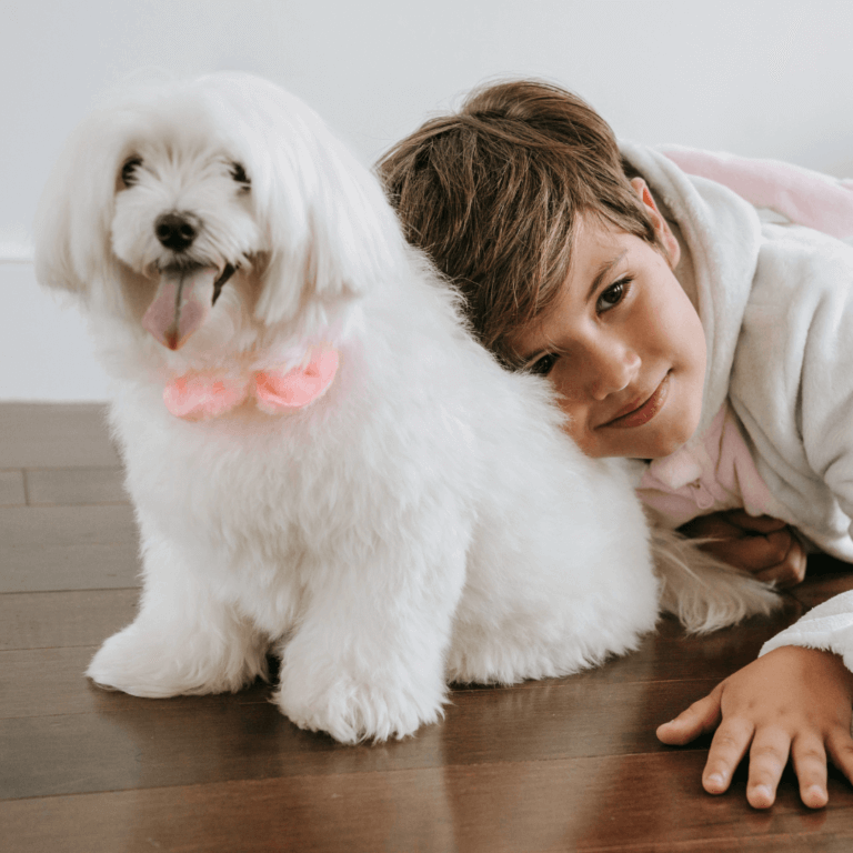 What is the Best Pet Microchip Registry? Ponderosa Vet Clinic